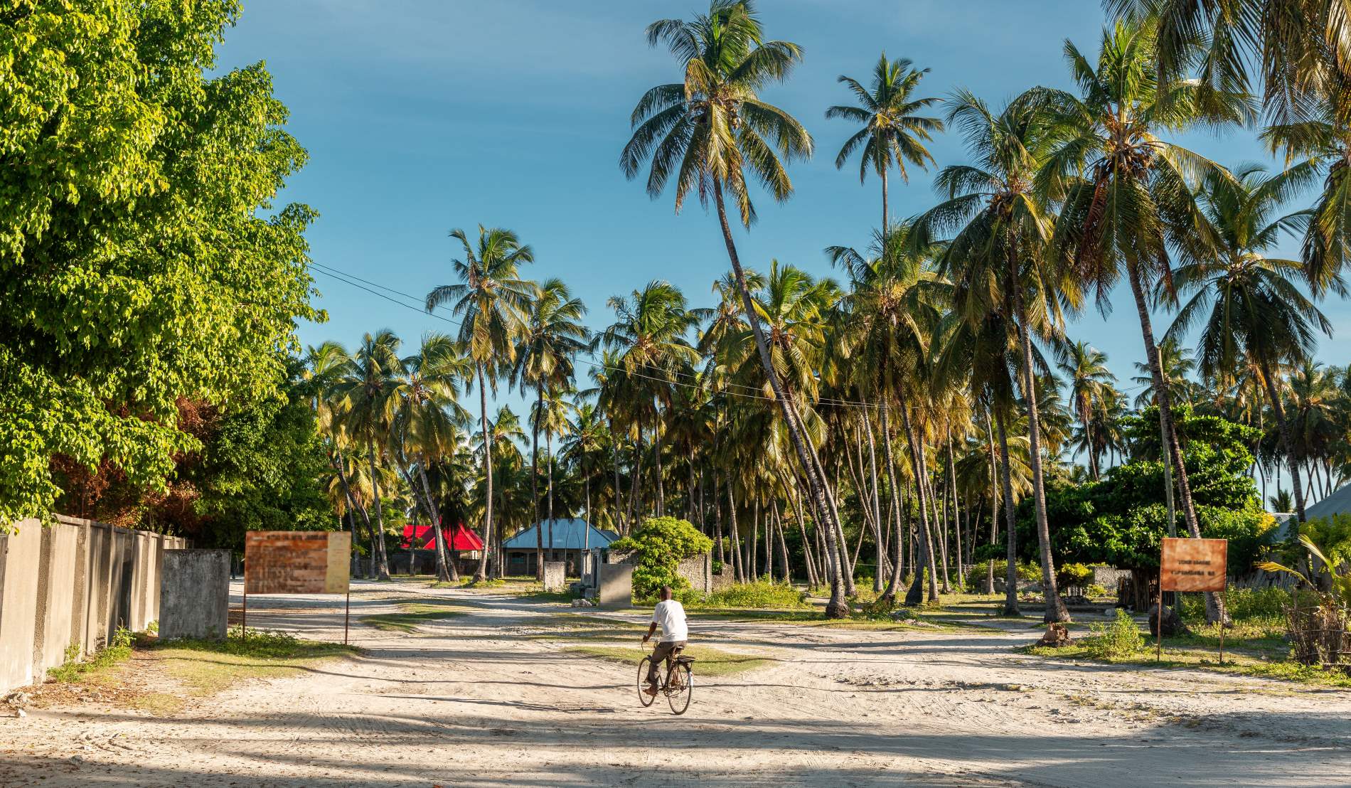 8 Days Ultimate Northern Circuit Safari - OD Adventure Safaris